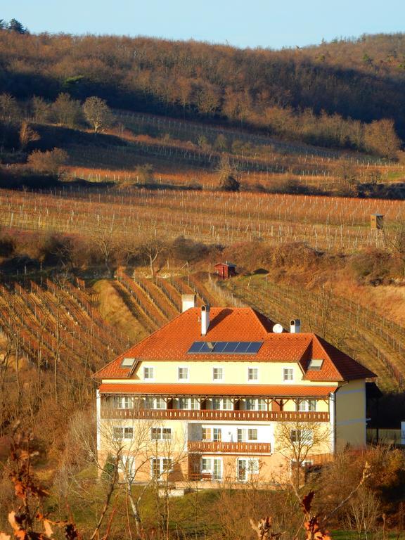 Pension Rudi - Weingut Kellner Hotel Pulkau ภายนอก รูปภาพ