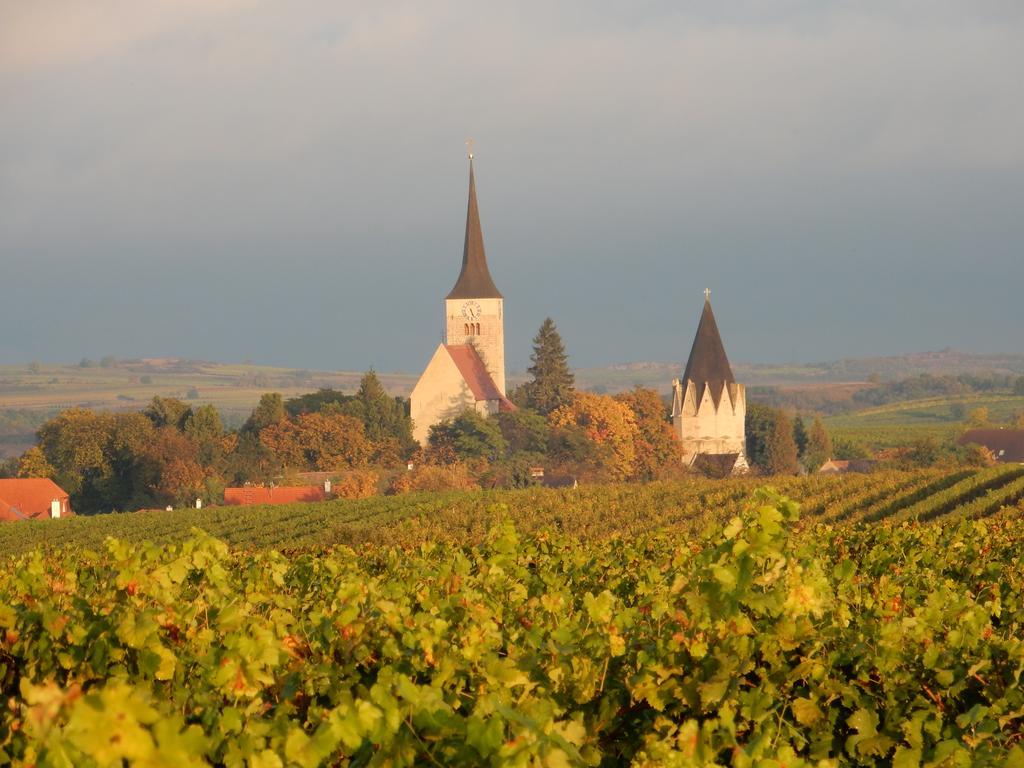 Pension Rudi - Weingut Kellner Hotel Pulkau ภายนอก รูปภาพ